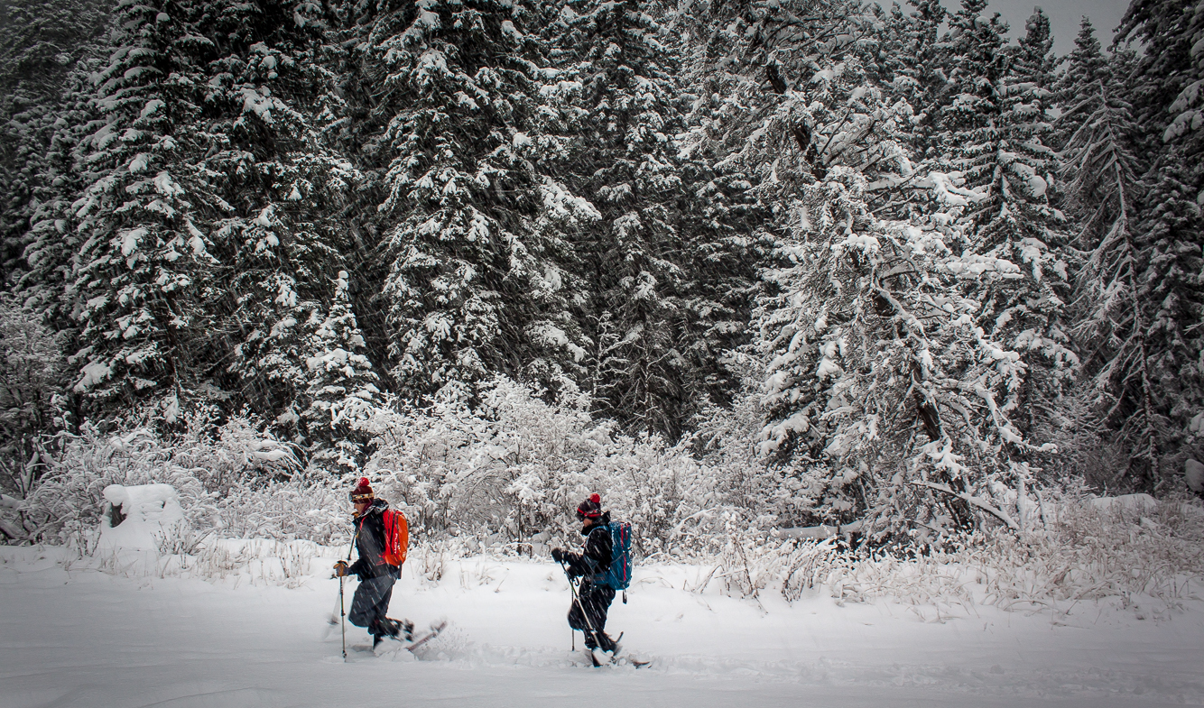 Snowshoeing in Jackson Hole
