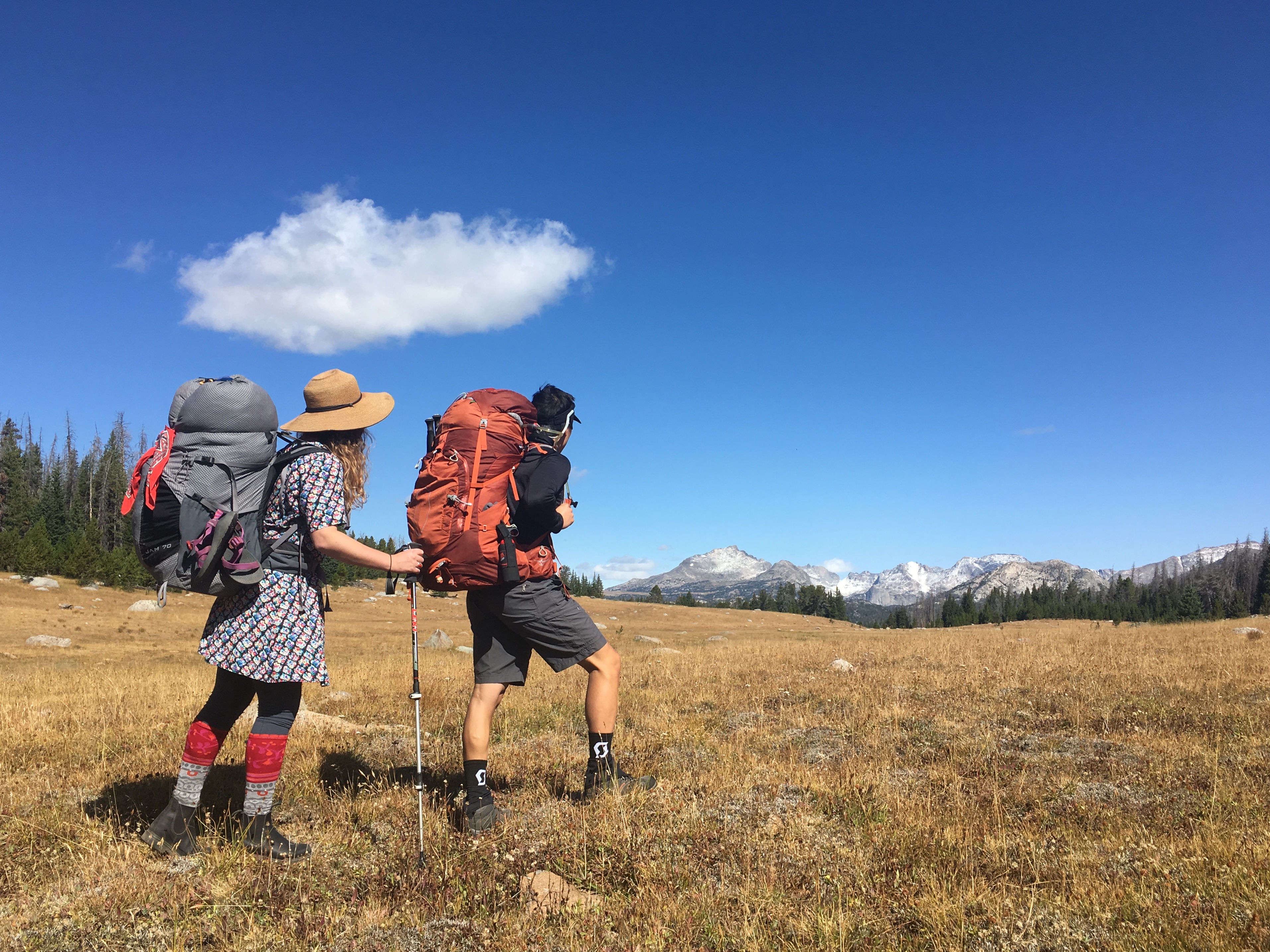 Trekking Poles for Rent - Teton Backcountry Rentals