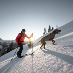 Cross-Country Skiing in Jackson Hole with dogs