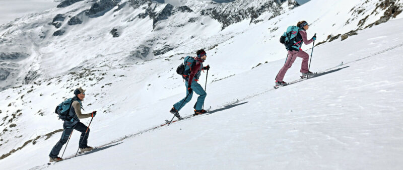 Backcountry Skis climbing skins