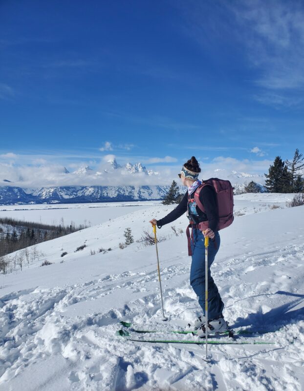 Spring time in Grand Teton National Park